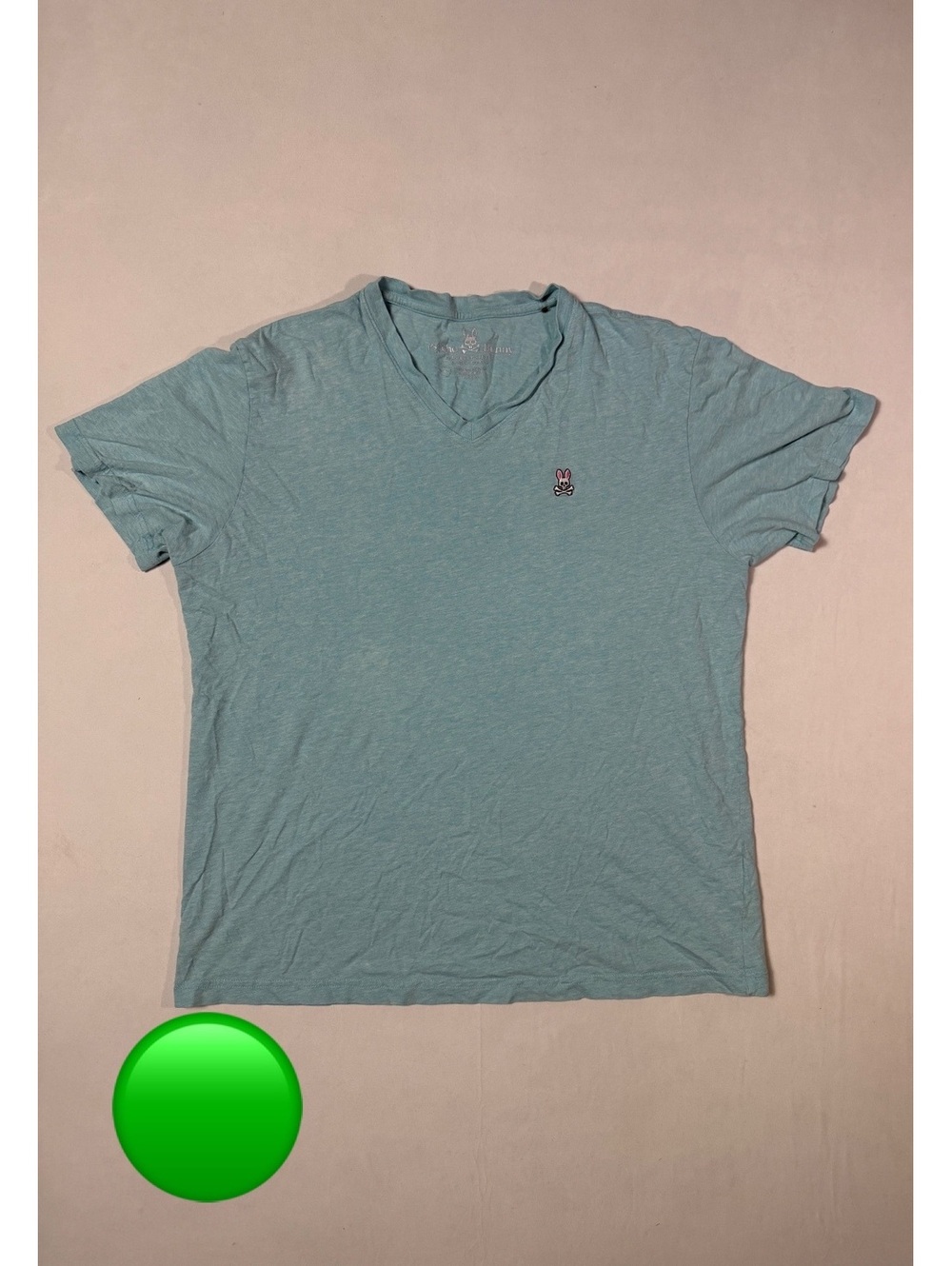 Psycho Bunny Light Blue V-Neck T-Shirt Size L